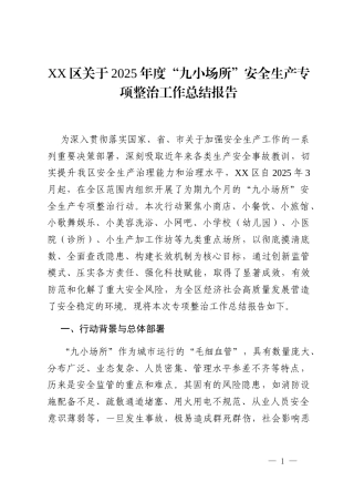 XX区关于2025年度“九小场所”安全生产专项整治工作总结报告