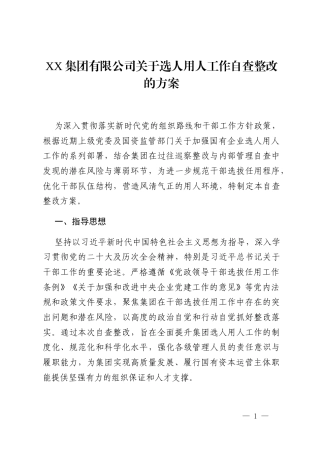 XX集团有限公司关于选人用人工作自查整改的方案