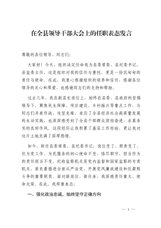 在全县领导干部大会上的任职表态发言