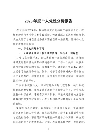 2025年度个人党性分析报告