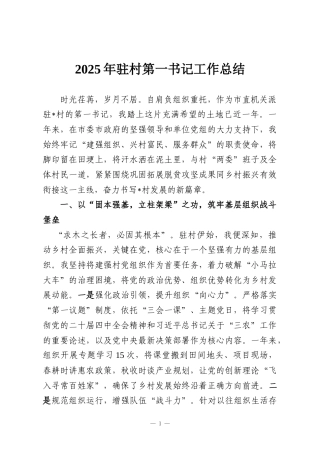 2025年驻村第一书记工作总结