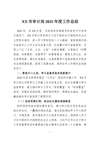 XX市审计局2025年度工作总结