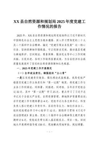 XX县自然资源和规划局2025年度党建工作情况的报告