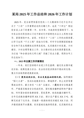 某局2025年工作总结和2026年工作计划