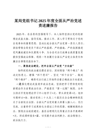 某局党组书记2025年度全面从严治党述责述廉报告