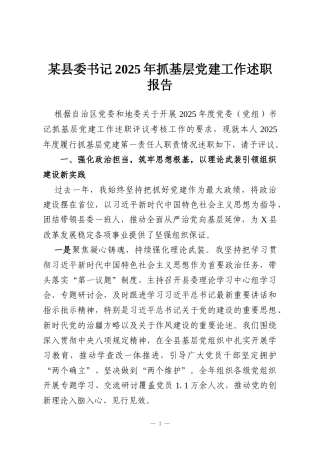 某县委书记2025年抓基层党建工作述职报告