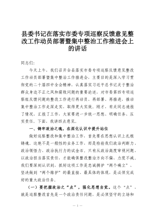县委书记在落实市委专项巡察反馈意见整改工作动员部署暨集中整治工作推进会上的讲话