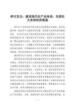 研讨发言：建设现代化产业体系，巩固壮大实体经济根基