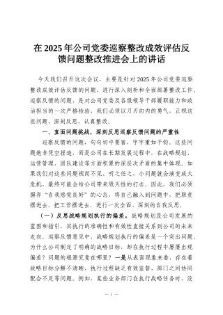 在2025年公司党委巡察整改成效评估反馈问题整改推进会上的讲话