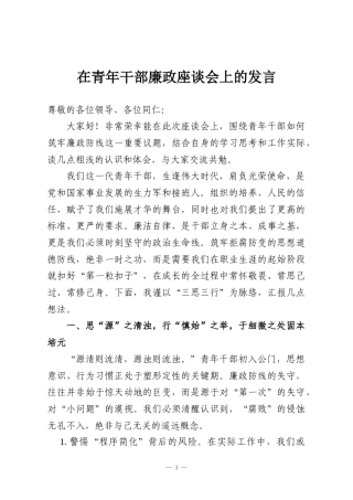 在青年干部廉政座谈会上的发言