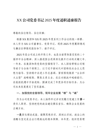 XX公司党委书记2025年度述职述廉报告