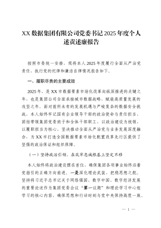 XX数据集团有限公司党委书记2025年度个人述责述廉报告