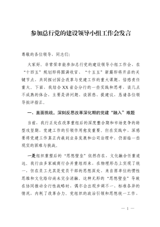 参加总行党的建设领导小组工作会发言