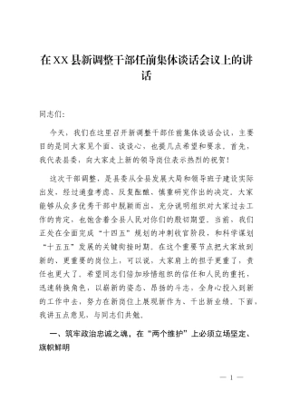 在XX县新调整干部任前集体谈话会议上的讲话