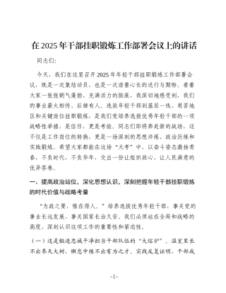 在2025年干部挂职锻炼工作部署会议上的讲话（2）