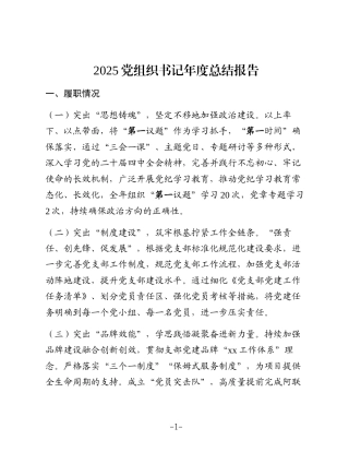 2025党组织书记年度总结报告