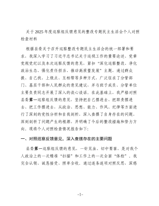 关于2025年度巡察组反馈意见的整改专题民主生活会个人对照检查材料