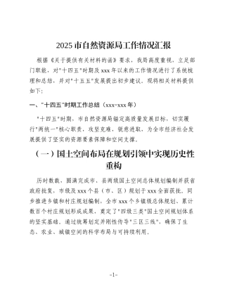 2025市自然资源局工作情况汇报