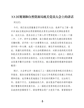 XX区规划和自然资源局机关党员大会上的讲话