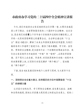 市政府办学习党的二十届四中全会精神宣讲报告