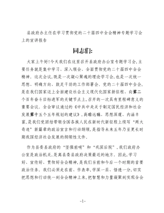 县政府办主任在学习贯彻党的二十届四中全会精神专题学习会上的宣讲报告