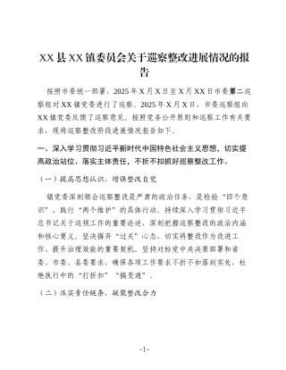 XX县XX镇委员会关于巡察整改进展情况的报告