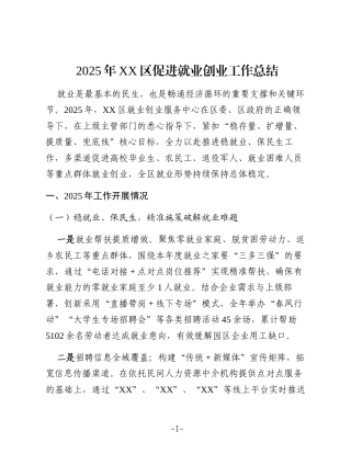 2025年XX区促进就业创业工作总结