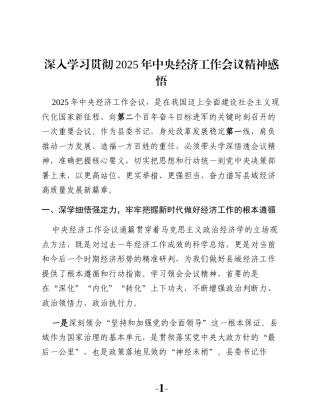 深入学习贯彻2025年中央经济工作会议精神感悟