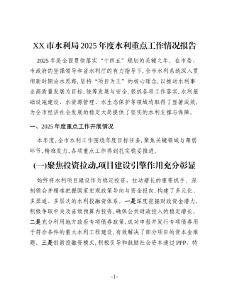 XX市水利局2025年度水利重点工作情况报告 (2)