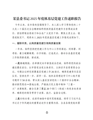 某县委书记2025年度抓基层党建工作述职报告