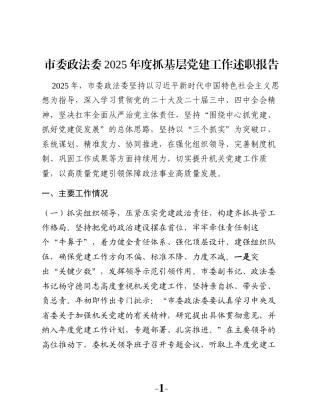 市委政法委2025年度抓基层党建工作述职报告