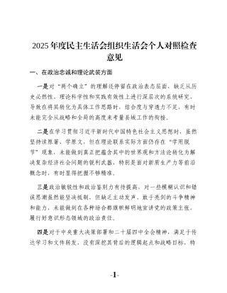 2025年度民主生活会组织生活会个人对照检查意见