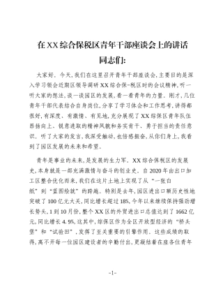 在XX综合保税区青年干部座谈会上的讲话（2）