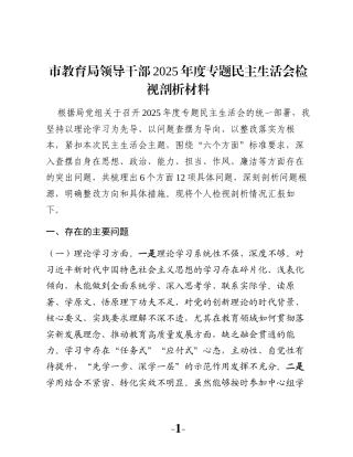 市教育局领导干部2025年度专题民主生活会检视剖析材料