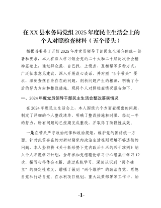 在XX县水务局党组2025年度民主生活会上的个人对照检查材料（五个带头）