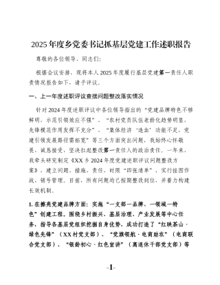 2025年度乡党委书记抓基层党建工作述职报告