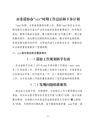 市委巡察办“十四五”时期工作总结和下步计划