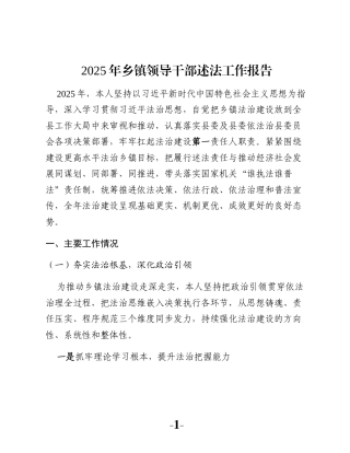 2025年乡镇领导干部述法工作报告