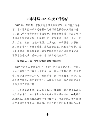 市审计局2025年度工作总结