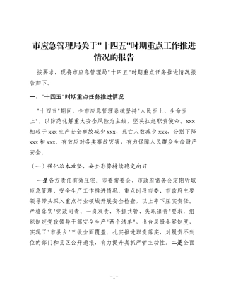 市应急管理局关于“十四五”时期重点工作推进情况的报告