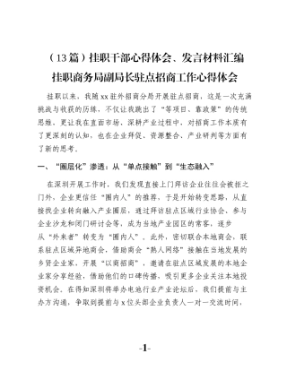 （13篇）挂职干部心得体会、发言材料汇编