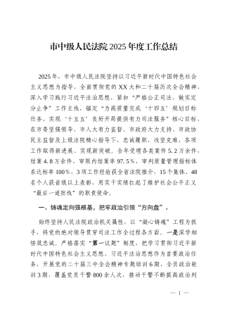 市中级人民法院2025年度工作总结
