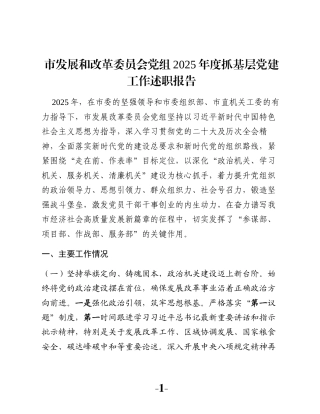 市发展和改革委员会党组2025年度抓基层党建工作述职报告
