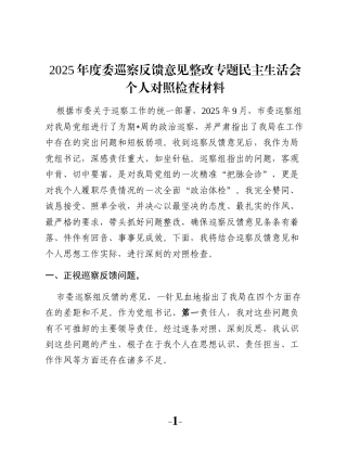 2025年度委巡察反馈意见整改专题民主生活会个人对照检查材料