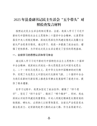 2025年县委副书记民主生活会“五个带头”对照检查发言材料