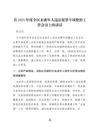 在2025年度全区未成年人违法犯罪专项整治工作会议上的讲话