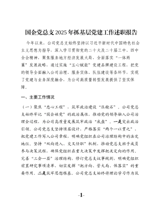 国企党总支2025年抓基层党建工作述职报告
