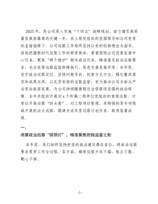 公司2025年度巡察工作情况总结