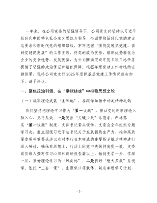 某公司党支部2025年度抓基层党建工作述职报告