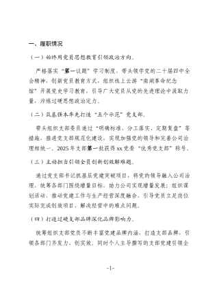 2025年党支部书记工作述职报告